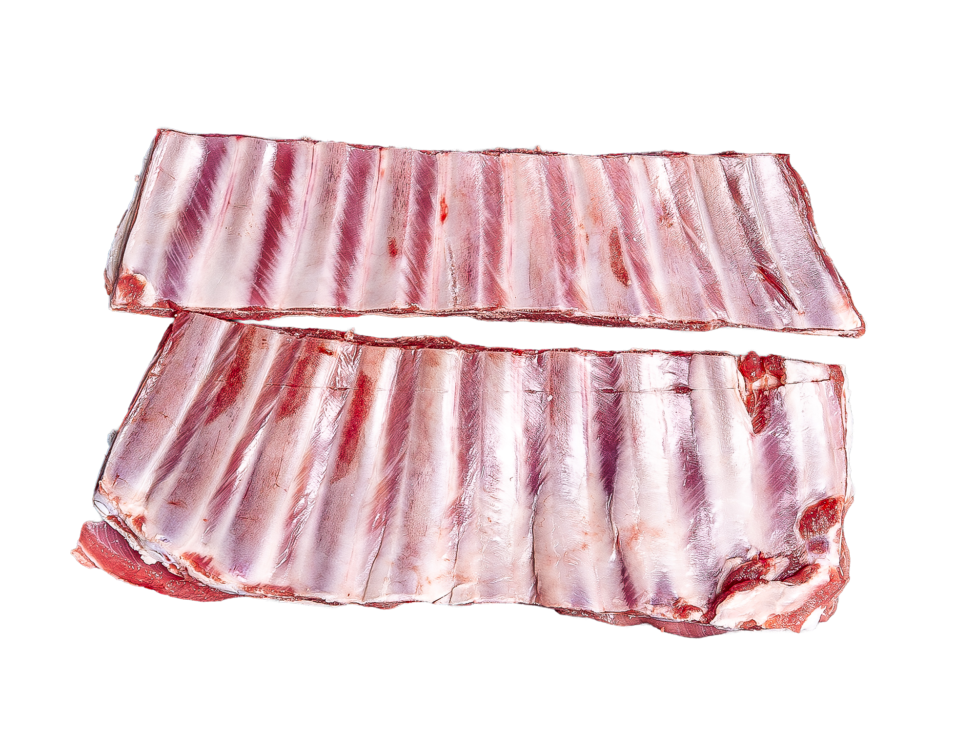 shortribs